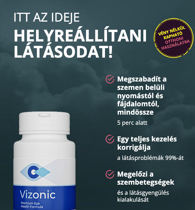 Vizonic