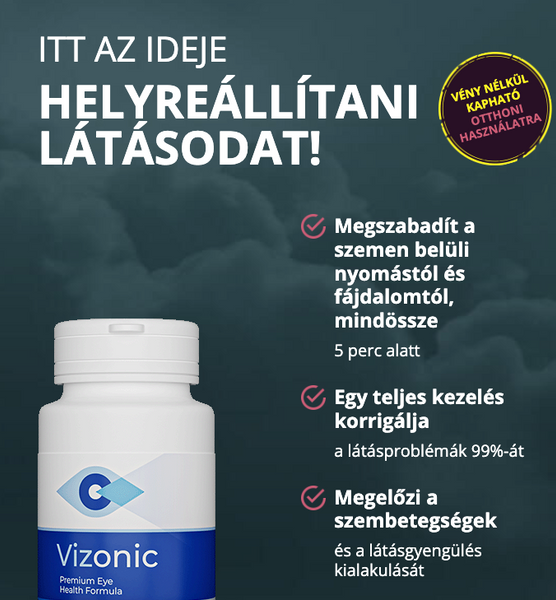 Vizonic