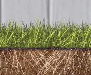 Grass Seed Mat a 23.888 HUF