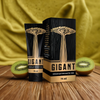 GIGANT