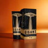 GIGANT