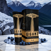 GIGANT