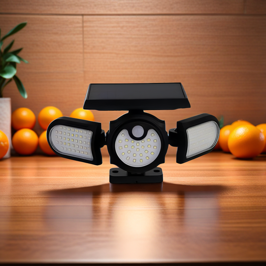 SOLAR INDUCTION LAMP