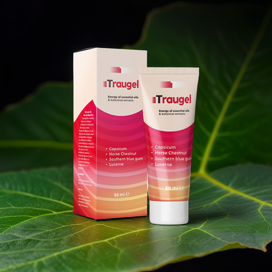 TRAUGEL