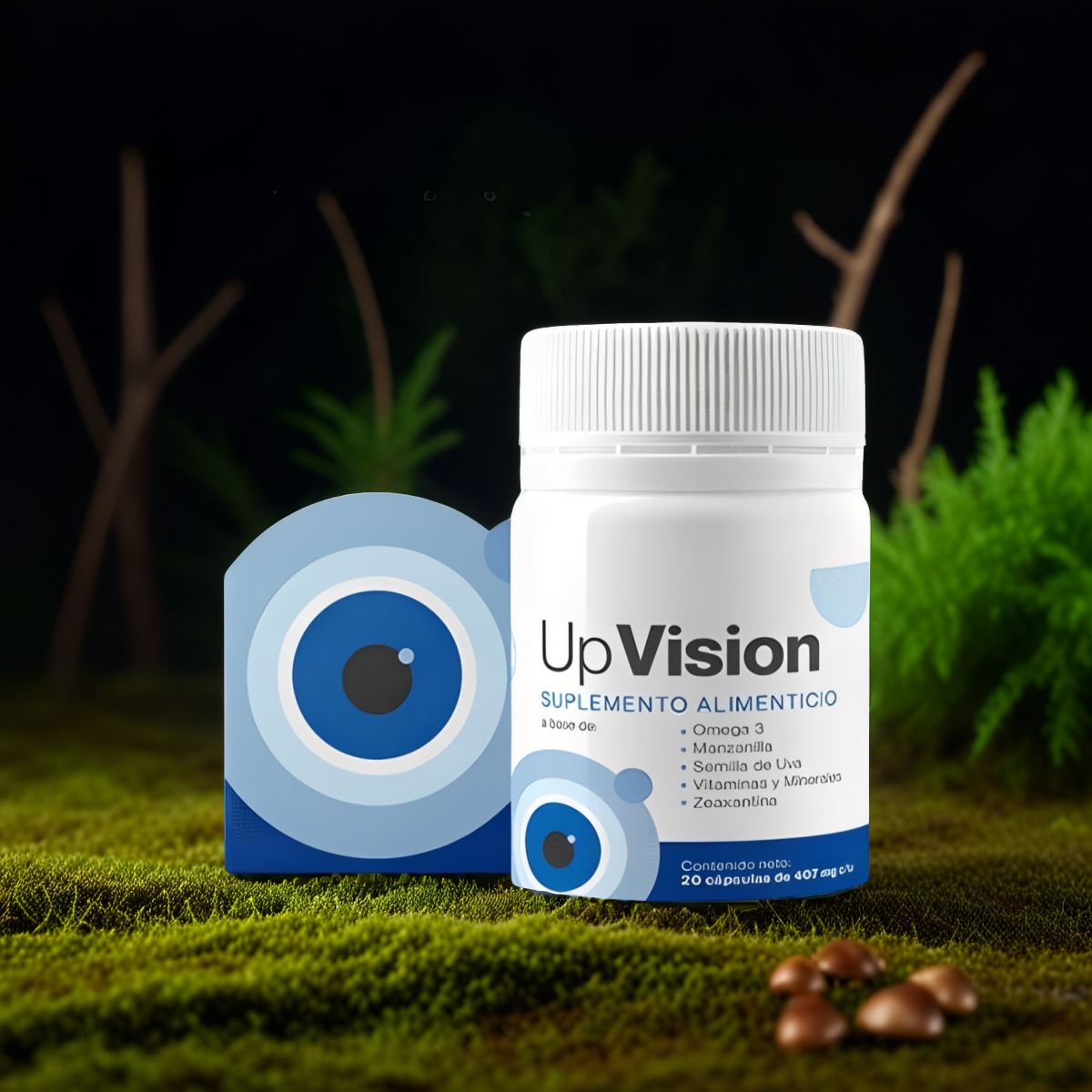 Up Vision